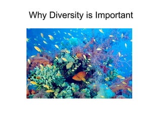 Why Diversity is Important
 