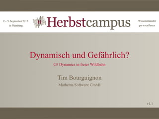 Dynamisch und Gefährlich?
C# Dynamics in freier Wildbahn

Tim Bourguignon
Mathema Software GmbH

v1.1

 