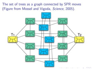 The set of trees as a graph connected by SPR moves
(Figure from Mossel and Vigoda, Science, 2005).

 