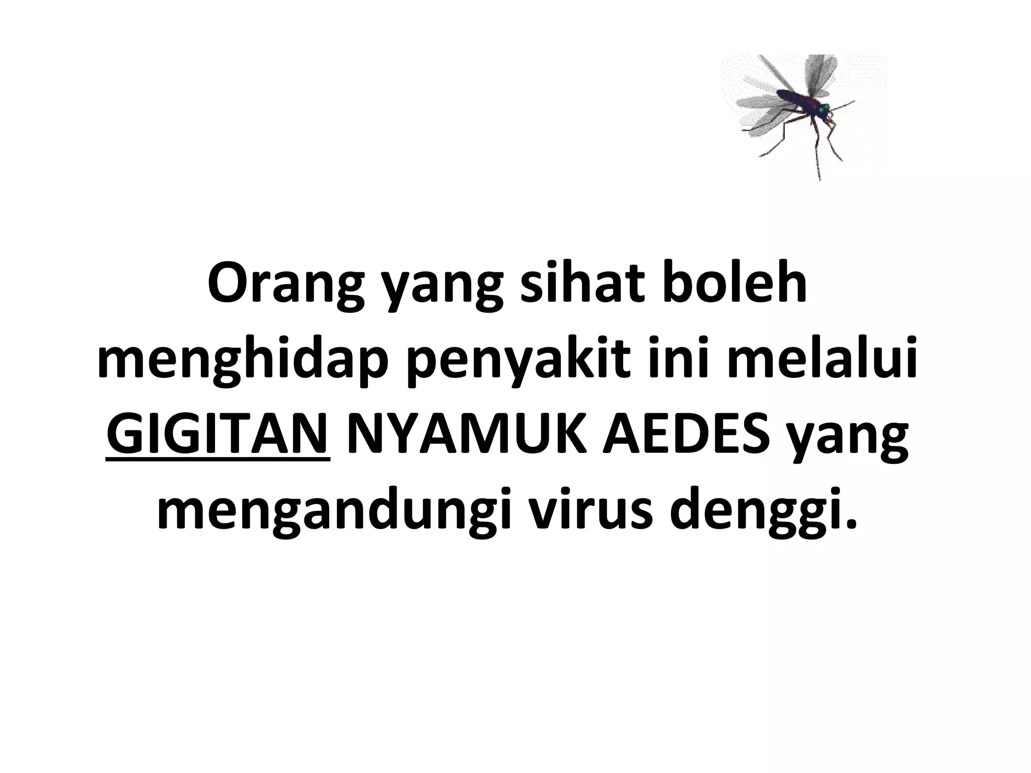 Ceramah Pencegahan Demam Denggi PPT