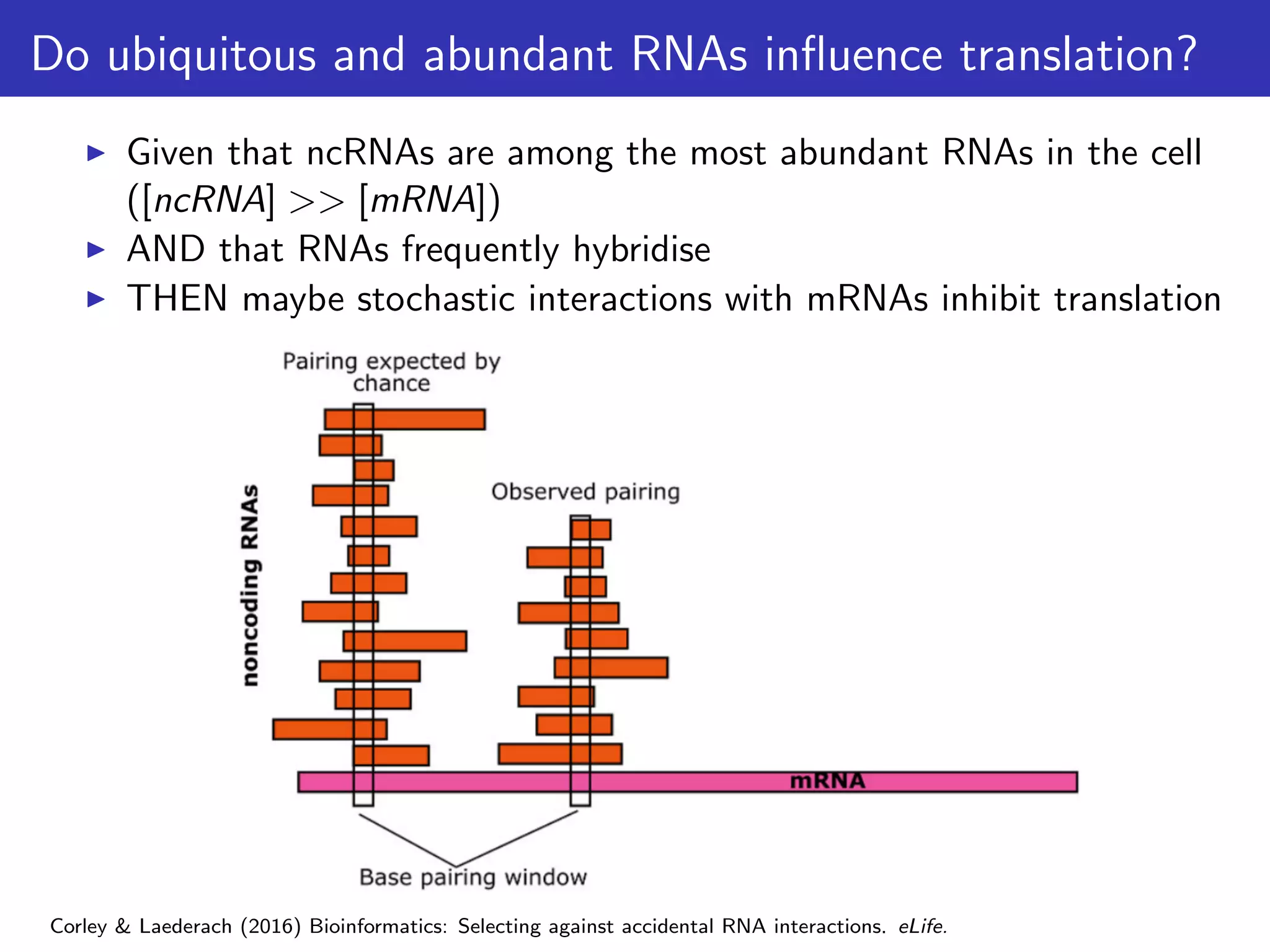 Do ubiquitous and abundant RNAs inﬂuence translation?
Given that ncRNAs are among the most abundant RNAs in the cell
([ncRNA] >> [mRNA])
AND that RNAs frequently hybridise
THEN maybe stochastic interactions with mRNAs inhibit translation
Corley & Laederach (2016) Bioinformatics: Selecting against accidental RNA interactions. eLife.
 