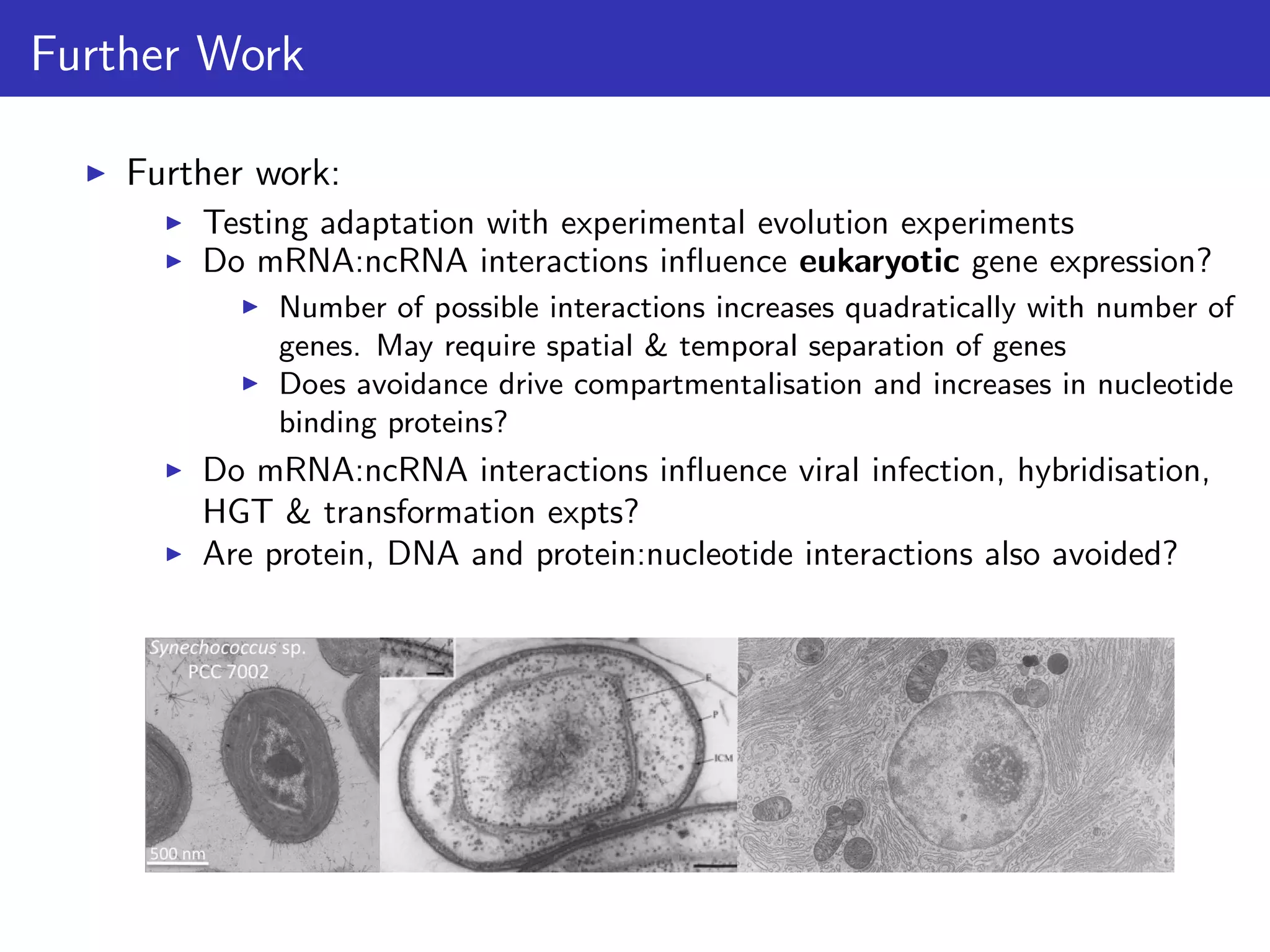 Further Work
Further work:
Testing adaptation with experimental evolution experiments
Do mRNA:ncRNA interactions inﬂuence eukaryotic gene expression?
Number of possible interactions increases quadratically with number of
genes. May require spatial & temporal separation of genes
Does avoidance drive compartmentalisation and increases in nucleotide
binding proteins?
Do mRNA:ncRNA interactions inﬂuence viral infection, hybridisation,
HGT & transformation expts?
Are protein, DNA and protein:nucleotide interactions also avoided?
 