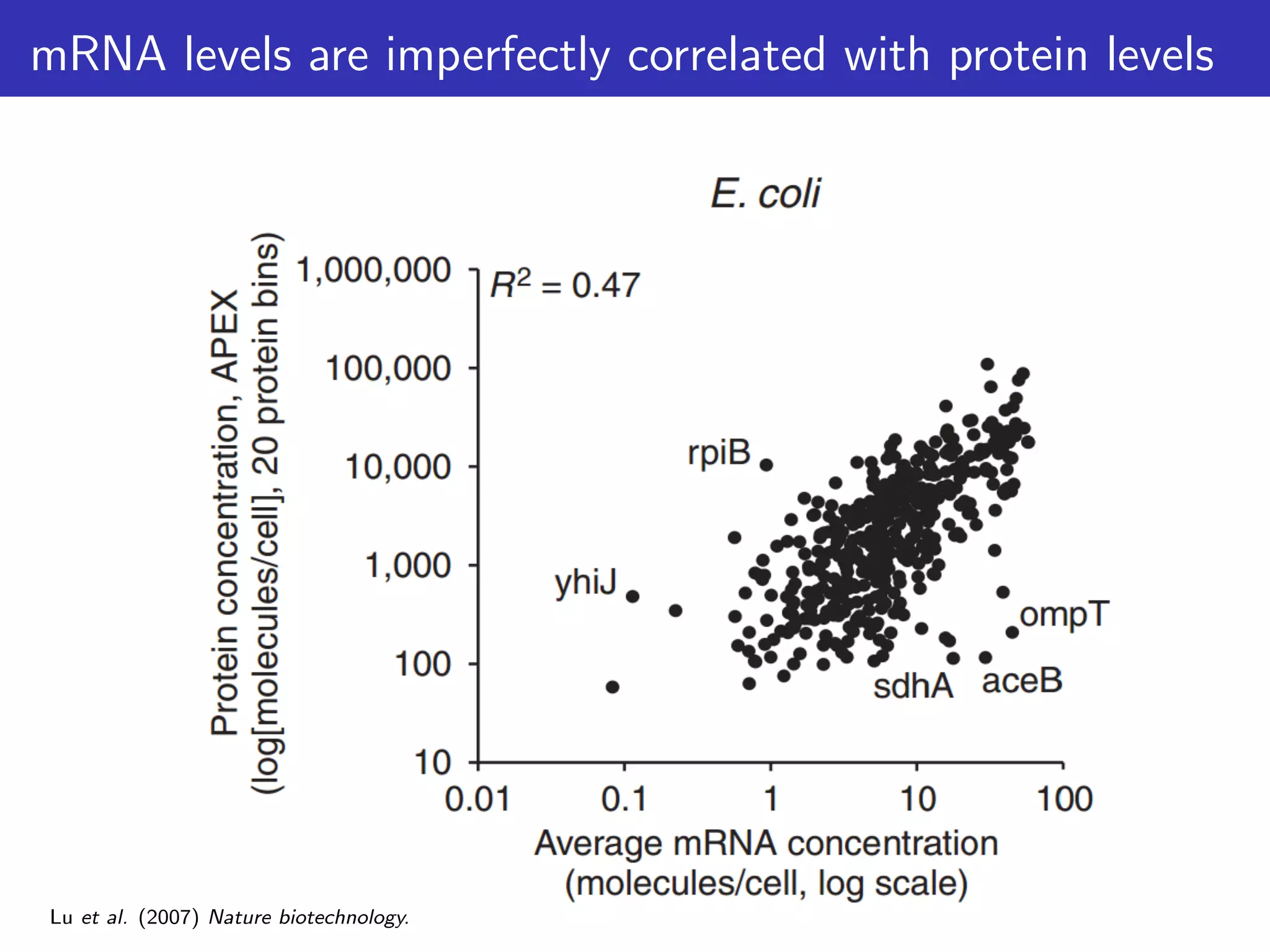 mRNA levels are imperfectly correlated with protein levels
Lu et al. (2007) Nature biotechnology.
 