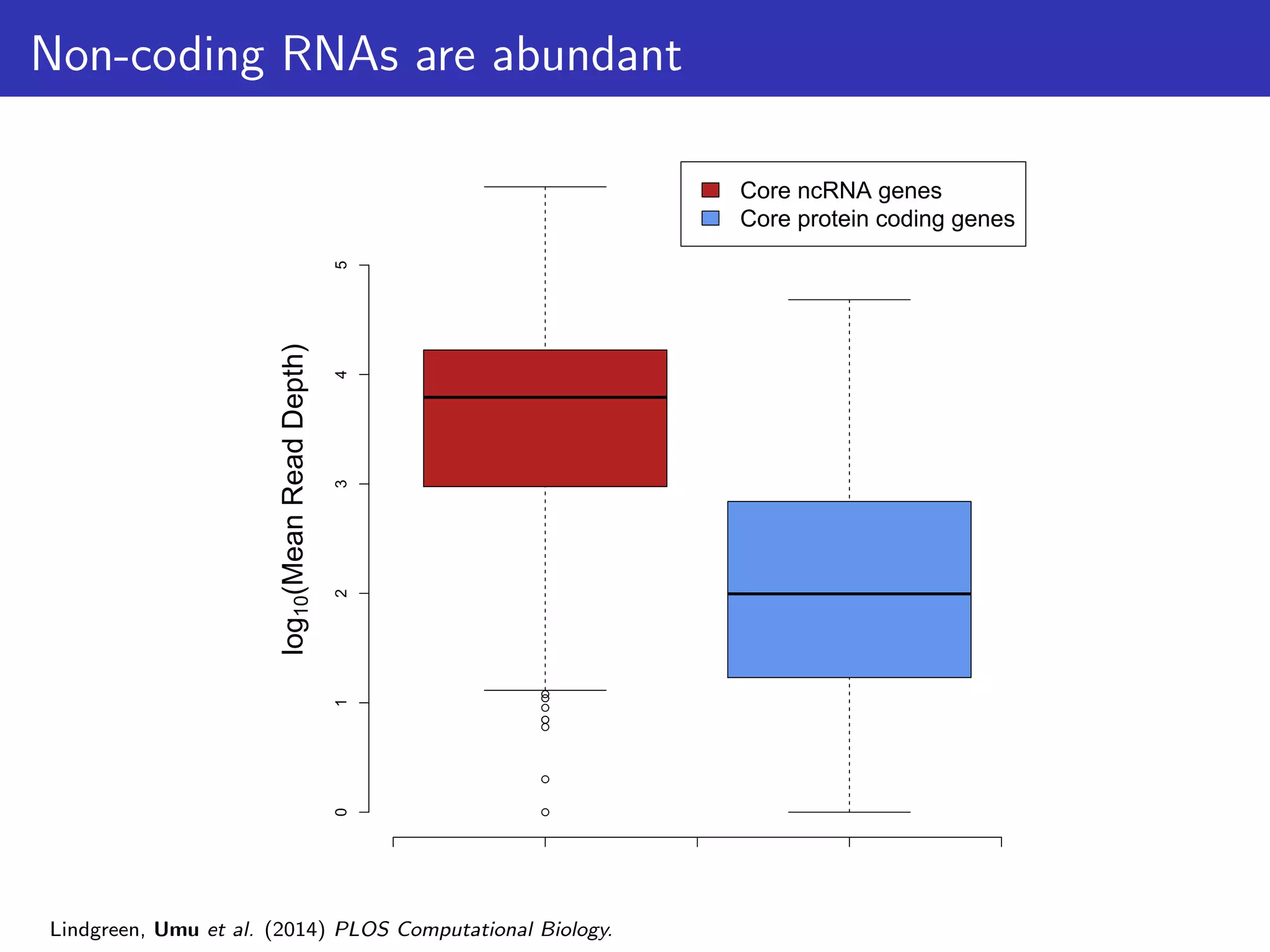 Non-coding RNAs are abundant
q
q
q
q
q
q
q
q
012345
log10(MeanReadDepth)
Core ncRNA genes
Core protein coding genes
Lindgreen, Umu et al. (2014) PLOS Computational Biology.
 