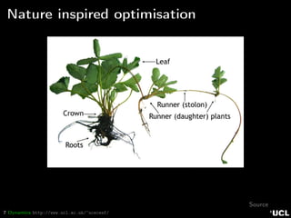 7 Dynamics http://www.ucl.ac.uk/~ucecesf/
Nature inspired optimisation
Source
 