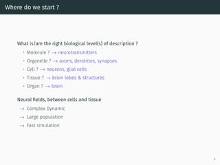 Where do we start ?
What is/are the right biological level(s) of description ?
• Molecule ? → neurotransmitters
• Organelle ? → axons, dendrites, synapses
• Cell ? → neurons, glial cells
• Tissue ? → brain lobes & structures
• Organ ? → brain
Neural ﬁelds, between cells and tissue
→ Complex Dynamic
→ Large population
→ Fast simulation
9
 