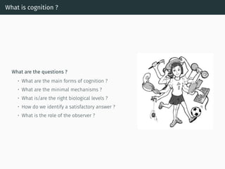 What is cognition ?
What are the questions ?
• What are the main forms of cognition ?
• What are the minimal mechanisms ?
• What is/are the right biological levels ?
• How do we identify a satisfactory answer ?
• What is the role of the observer ?
 