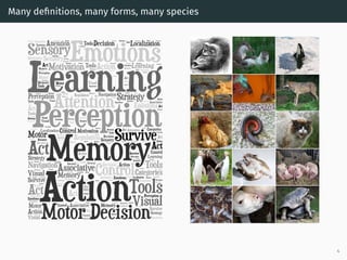 Many deﬁnitions, many forms, many species
4
 