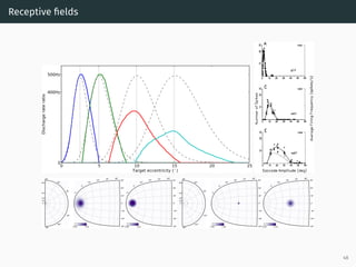 Receptive ﬁelds
0 5 10 15 20 25
Target eccentricity (◦
)
0
400Hz
500Hz
Dischargerateratio
0°
10°
20°
40°
80°
-90°
-60°
-30°
30°
60°
90°
2°
5°
10°
20° 40° 80°
-90°
-60°
-30°
0°
30°
60°
90°
2°
5°
10°
20° 40° 80°
-90°
-60°
-30°
0°
30°
60°
90°
0.00 1.00 0.00 1.00
0°
10°
20°
40°
80°
-90°
-60°
-30°
30°
60°
90°
2°
5°
10°
20° 40° 80°
-90°
-60°
-30°
0°
30°
60°
90°
2°
5°
10°
20° 40° 80°
-90°
-60°
-30°
0°
30°
60°
90°
0.00 1.00 0.00 0.24
48
 