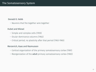 The Somatosensory System
Donald O. Hebb
• Neurons that ﬁre together wire together
Hubel and Wiesel
• Simple and complex cells (1959)
• Ocular dominance columns (1962)
• Critical period, no plasticity after that period (1963-1965)
Merzenich, Kaas and Rasmusson
• Cortical organization of the primary somatosensory cortex (1981)
• Reorganization of the adult primary somatosensory cortex (1983)
57
 
