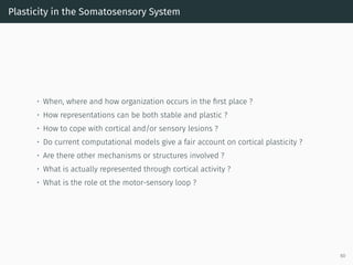 Plasticity in the Somatosensory System
• When, where and how organization occurs in the ﬁrst place ?
• How representations can be both stable and plastic ?
• How to cope with cortical and/or sensory lesions ?
• Do current computational models give a fair account on cortical plasticity ?
• Are there other mechanisms or structures involved ?
• What is actually represented through cortical activity ?
• What is the role ot the motor-sensory loop ?
60
 