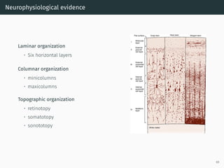 Neurophysiological evidence
Laminar organization
• Six horizontal layers
Columnar organization
• minicolumns
• maxicolumns
Topographic organization
• retinotopy
• somatotopy
• sonototopy
69
 