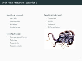 What really matters for cognition ?
Speciﬁc structures ?
• Neocortex
• Basal Ganglia
• Amygdala
• Frontal cortex
Speciﬁc architecture ?
• Connectivity
• Density
• Modularity
• Self-organisation
Speciﬁc abilities ?
• To recognize self/others
• To imitate
• To use tools
• To communicate
7
 