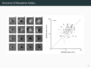 Structure of Receptive Fields...
82
 