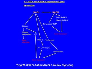 Ying W. (2007)  Antioxidants & Redox Signaling 