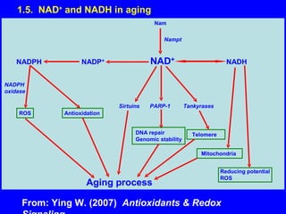 1.5.  NAD +  and NADH in aging From: Ying W. (2007)  Antioxidants & Redox Signaling 