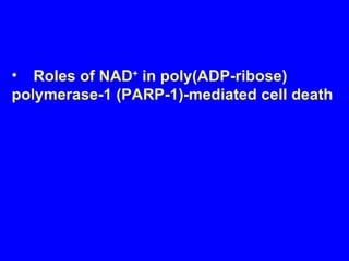Roles of NAD +  in poly(ADP-ribose)  polymerase-1 (PARP-1)-mediated cell death 