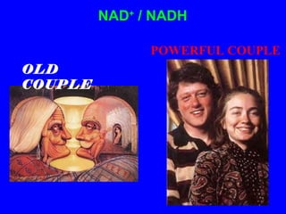 NAD +  / NADH OLD COUPLE POWERFUL COUPLE 