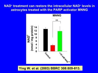 Ying W. et al. (2003) BBRC 308:809-813.  NAD +  treatment can restore the intracellular NAD +  levels in astrocytes treated with the PARP activator MNNG 