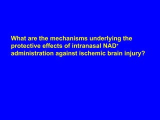 What are the mechanisms underlying the protective effects of intranasal NAD +  administration against ischemic brain injury? 