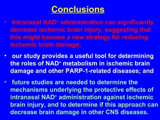 Conclusions Intranasal NAD +  administration can significantly decrease ischemic brain injury, suggesting that this might become a new strategy for reducing ischemic brain damage; our study provides a useful tool for determining the roles of NAD +  metabolism in ischemic brain damage and other PARP-1-related diseases; and future studies are needed to determine the mechanisms underlying the protective effects of intranasal NAD +  administration against ischemic brain injury, and to determine if this approach can decrease brain damage in other CNS diseases. 