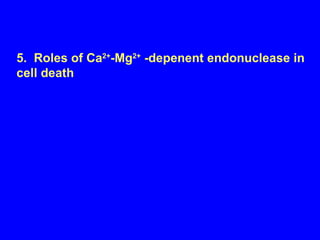 5.  Roles of Ca 2+ -Mg 2+  -depenent endonuclease in cell death 
