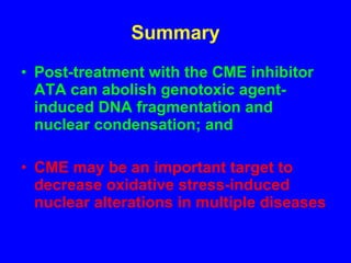 Summary Post-treatment with the CME inhibitor ATA can abolish genotoxic agent-induced DNA fragmentation and nuclear condensation; and CME may be an important target to decrease oxidative stress-induced nuclear alterations in multiple diseases 