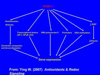 From: Ying W. (2007)  Antioxidants & Redox Signaling 