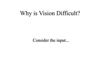 Why is Vision Difficult?
Consider the input...
 