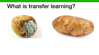 What is transfer learning?
 