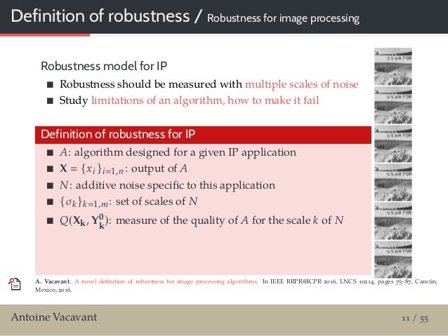 The Meaning Of Robustness
