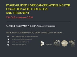 IMAGE-GUIDED LIVER CANCER MODELING FOR
COMPUTER-AIDED DIAGNOSIS
AND TREATMENT
CIM COSY SEMINAR 2018
ANTOINE VACAVANT, PHD, HDR, ASSOCIATE PROFESSOR
INSTITUT PASCAL, UMR6602 UCA / SIGMA / CNRS, LE PUY-EN-VELAY
www.linkedin.com/in/antoinevacavant
twitter.com/antoinevacavant
antoine.vacavant@uca.fr
antoine-vacavant.eu
 