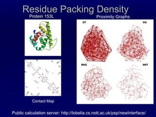 Residue Packing Density Protein 153L Proximity Graphs Contact Map Public calculation server: http://lobelia.cs.nott.ac.uk/psp/newInterface/ 