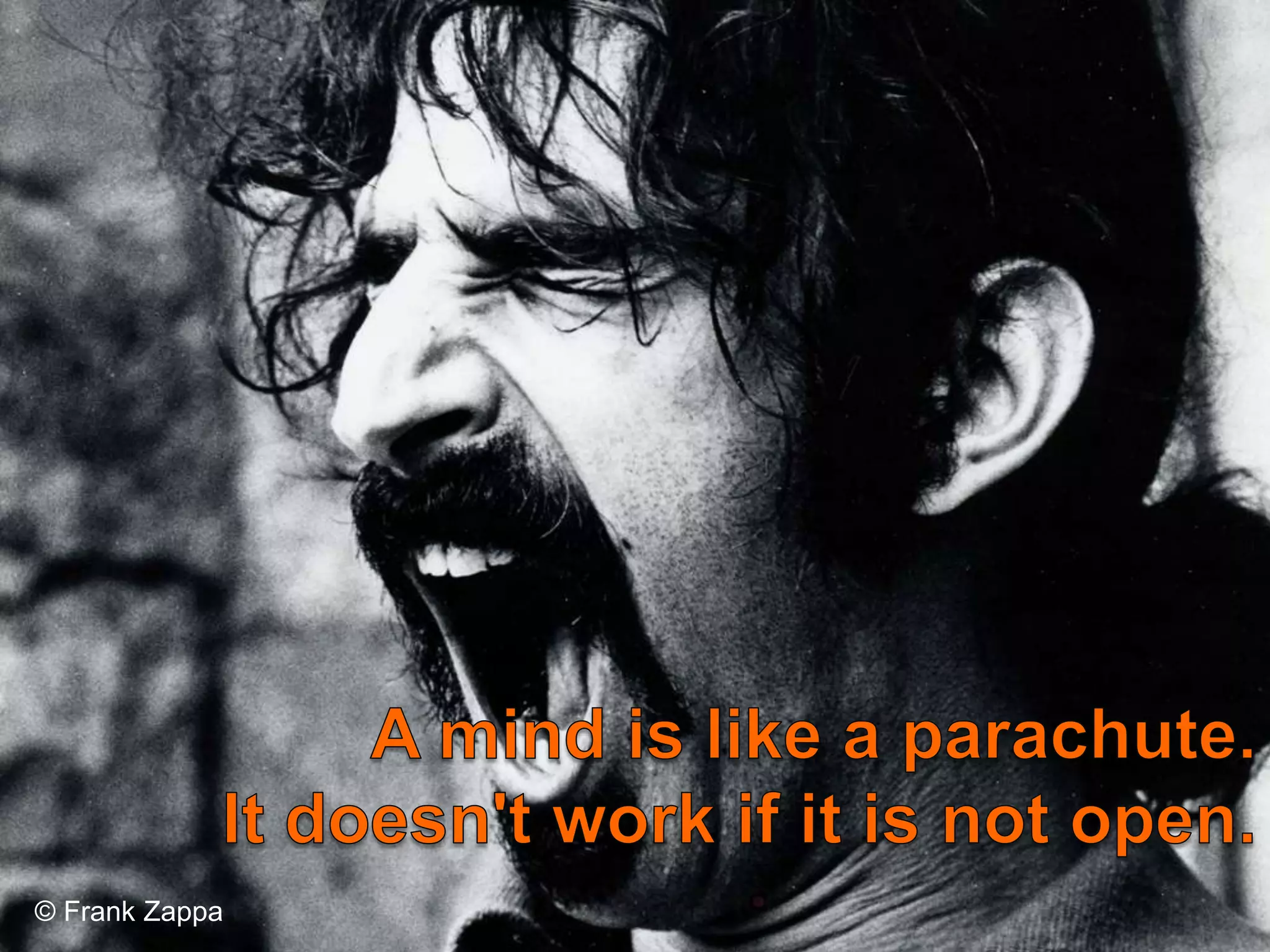 © Frank Zappa
 