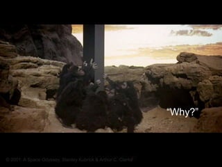 “Why?”



© 2001: A Space Odyssey, Stanley Kubrick & Arthur C. Clarke
 