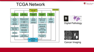 Digital Pathology
Cancer Imaging
TCGA Network
 