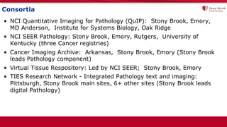 Consortia
• NCI Quantitative Imaging for Pathology (QuIP): Stony Brook, Emory,
MD Anderson, Institute for Systems Biology, Oak Ridge
• NCI SEER Pathology: Stony Brook, Emory, Rutgers, University of
Kentucky (three Cancer registries)
• Cancer Imaging Archive: Arkansas, Stony Brook, Emory (Stony Brook
leads Pathology component)
• Virtual Tissue Respository: Led by NCI SEER; Stony Brook, Emory
• TIES Research Network - Integrated Pathology text and imaging:
Pittsburgh, Stony Brook main sites, 6+ other sites (Stony Brook leads
digital Pathology)
 