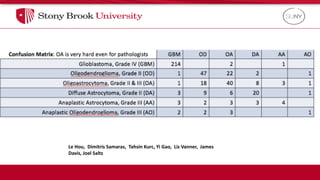 Brain
Le Hou, Dimitris Samaras, Tahsin Kurc, Yi Gao, Liz Vanner, James
Davis, Joel Saltz
 