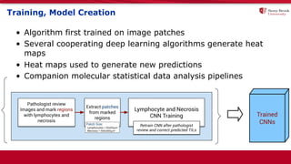 Training, Model Creation
• Algorithm first trained on image patches
• Several cooperating deep learning algorithms generate heat
maps
• Heat maps used to generate new predictions
• Companion molecular statistical data analysis pipelines
 