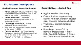 TIL Pattern Descriptions
Qualitative (Alex Lazar, Raj Gupta)
• ‘‘Brisk, diffuse’’ diffusely infiltrative TILs
scattered throughout at least 30% of the
area of the tumor (1,856 cases);
• ‘‘Brisk, band-like’’ - band-like
boundaries bordering the tumor at its
periphery (1,185);
• ‘‘Nonbrisk, multi-focal’’ loosely
scattered TILs present in less
• than 30% but more than 5% of the area
of the tumor (1,083);
• ‘‘Non-brisk, focal’’ for TILs scattered
throughout less than 5% but greater than
1% of the area of the tumor (874);
• ‘‘None’’ < 1% TILS - in 143 cases
Quantitative – Arvind Rao
• Agglomerative clustering
• Cluster indices representing
cluster number, density, cluster
size, distance between clusters
• Traditional spatial statistics
measures
• R package clusterCrit by
Bernard Desgraupes - Ball-
Hall, Banfield-Raftery, C Index,
and Determinant Ratio indices
 