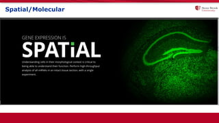 Spatial/Molecular
 