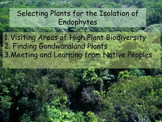 Selecting Plants for the Isolation of
                Endophytes

1. Visiting Areas of High Plant Biodiversity
2. Finding Gondwanaland Plants
3.Meeting and Learning from Native Peoples
 