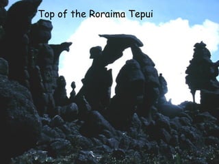 Top of the Roraima Tepui
 