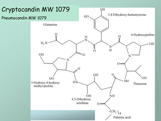 Cryptocandin MW 1079
Pneumocandin MW 1079
 