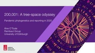 Pandemic phylogenetics and reporting in 2020
Áine O’Toole
Rambaut Group
University of Edinburgh
200,001: A tree-space odyssey
 