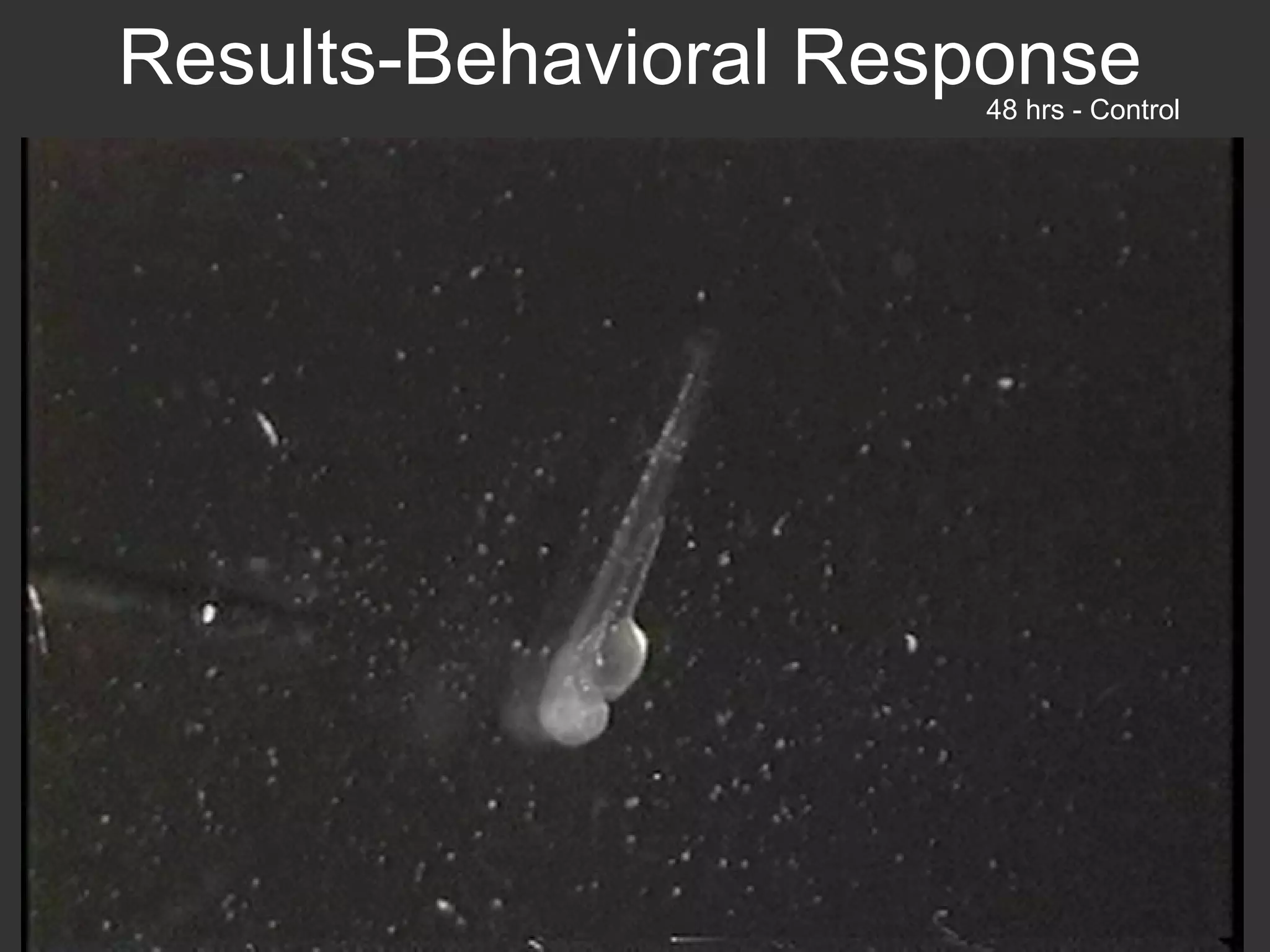 Results-Behavioral Response 48 hrs - Control 