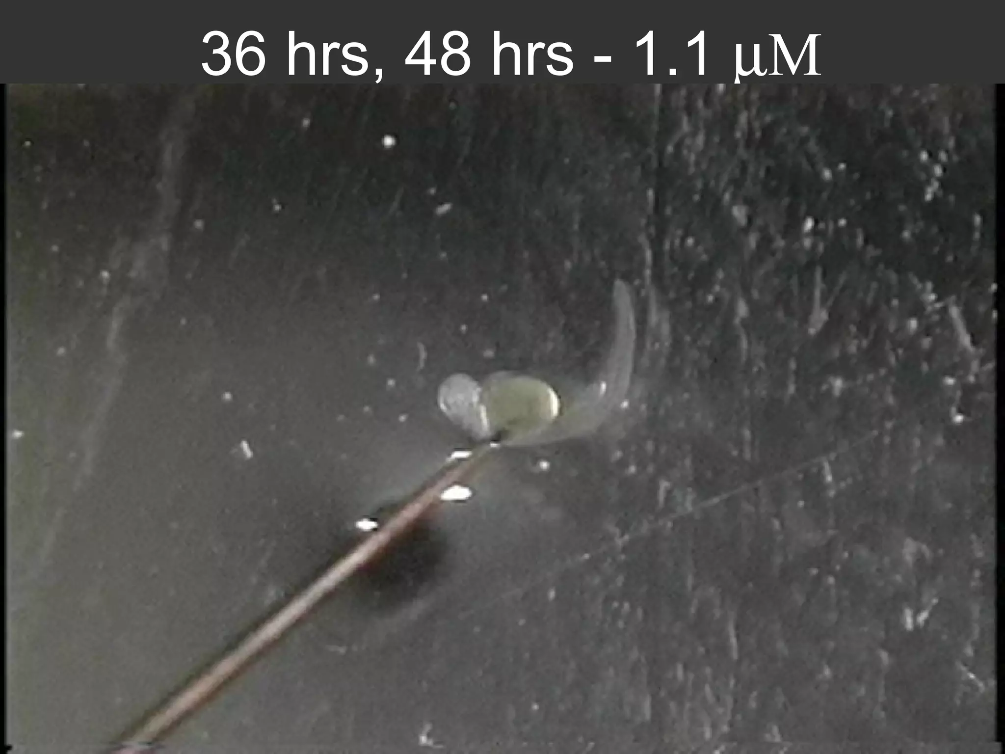 36 hrs, 48 hrs - 1.1   M 