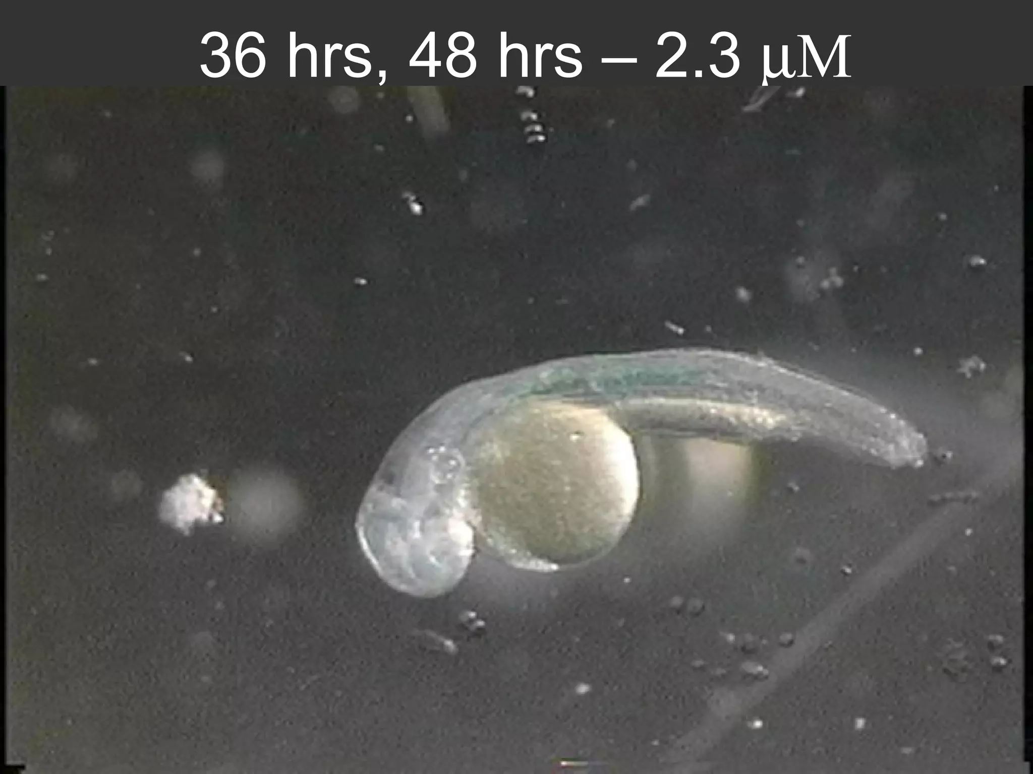 36 hrs, 48 hrs  –  2.3   M 