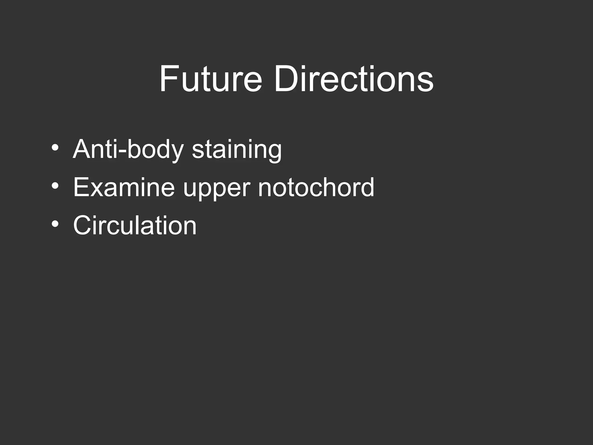 Future Directions Anti-body staining Examine upper notochord Circulation 
