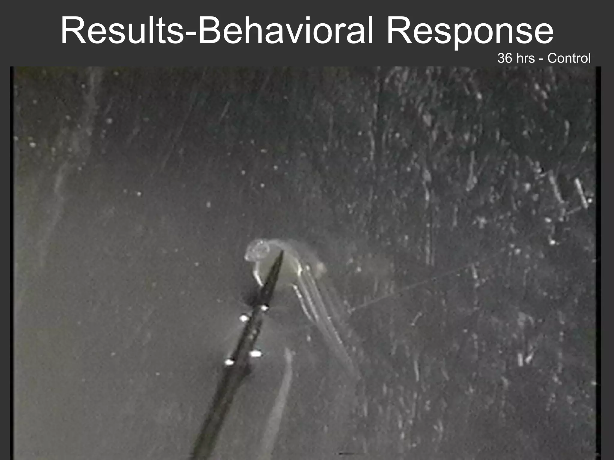 Results-Behavioral Response 36 hrs - Control 